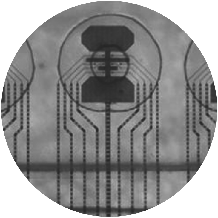 ClarianceSpinevision_EnablingTechnology
